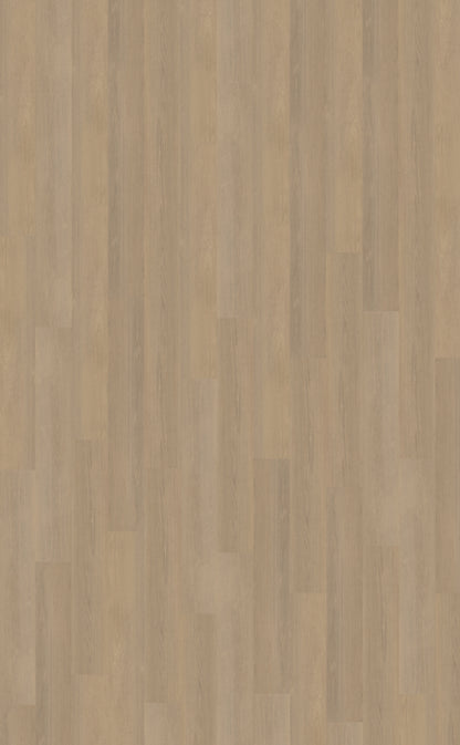 Belakos Futuro 530 | Bruin