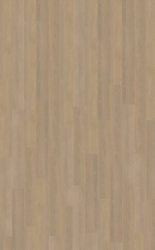 Belakos Futuro 530 | Bruin