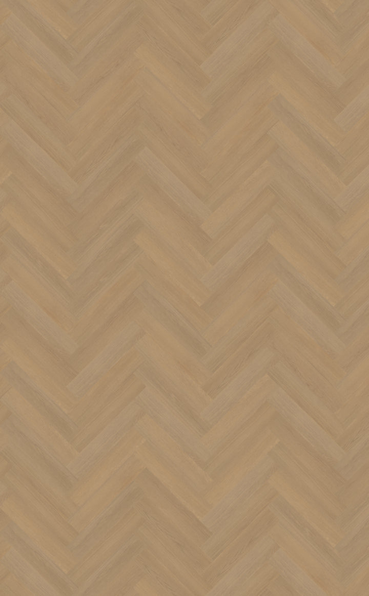 Belakos Futuro visgraat XL 50 | Bruin