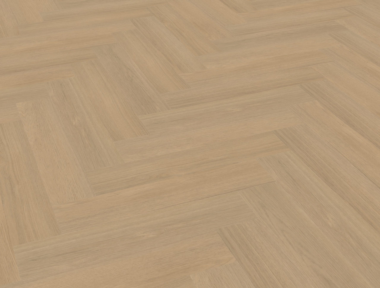 Belakos Futuro visgraat XL 51 | Rigid Click | Bruin