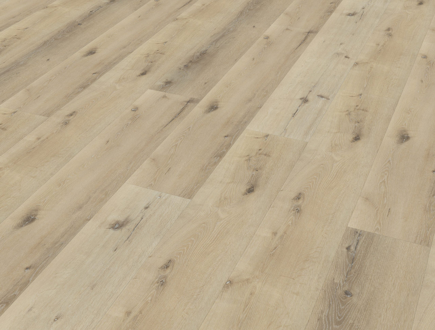 Belakos Palazzo 150 | Bruin