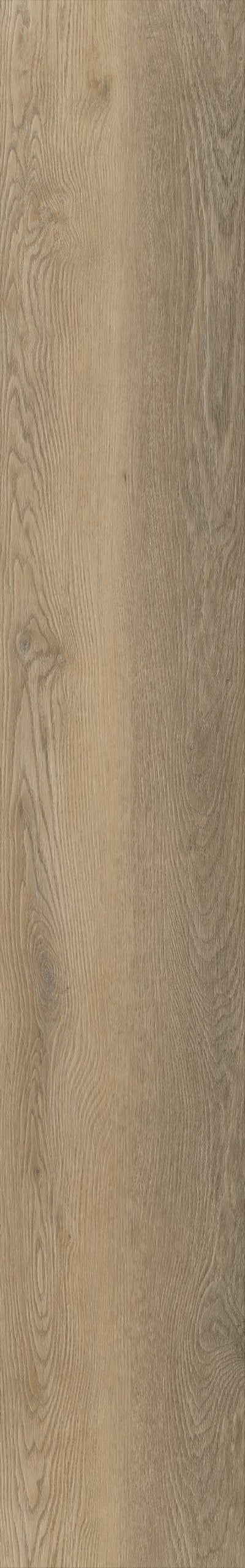 Belakos Palazzo 250 | Bruin