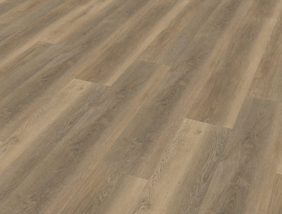 Belakos Palazzo 250 | Bruin