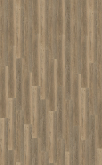 Belakos Palazzo 250 | Bruin