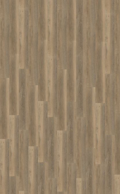 Belakos Palazzo 250 | Bruin