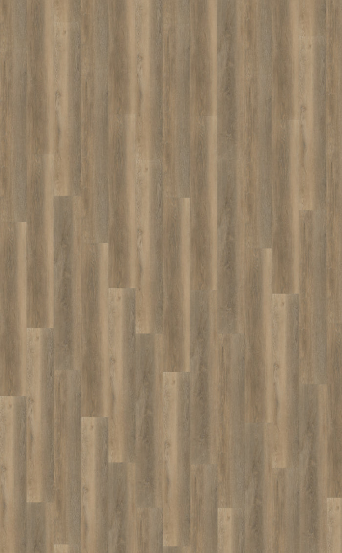 Belakos Palazzo 250 | Bruin