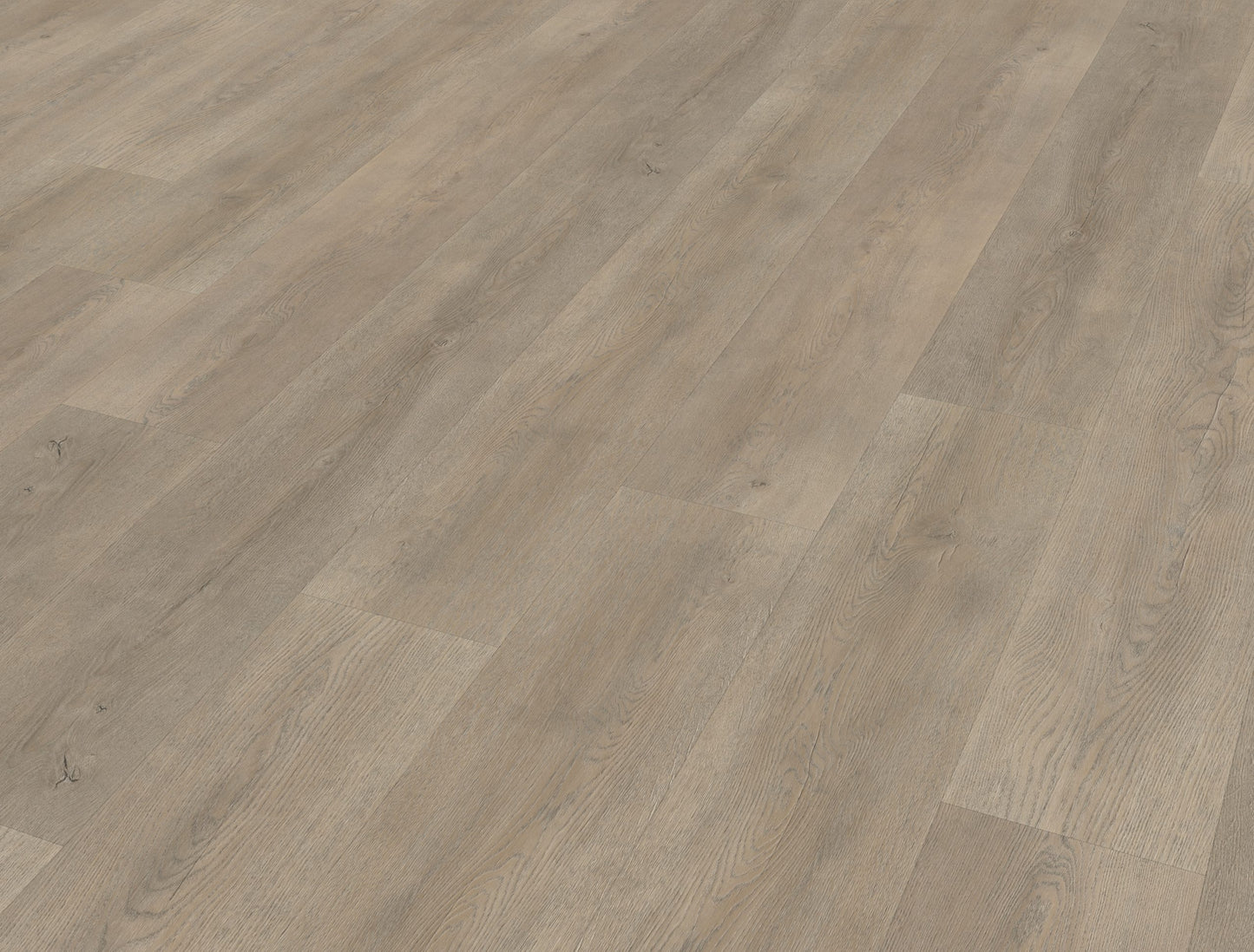 Belakos Palazzo 700 | Bruin