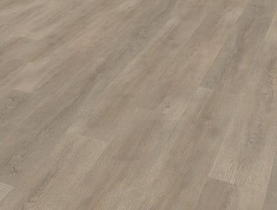 Belakos Palazzo 700 | Bruin