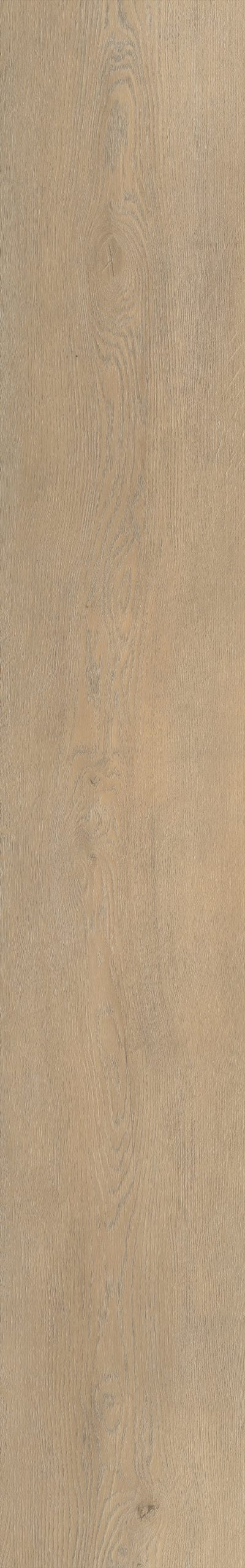 Belakos Palazzo 710 | Bruin