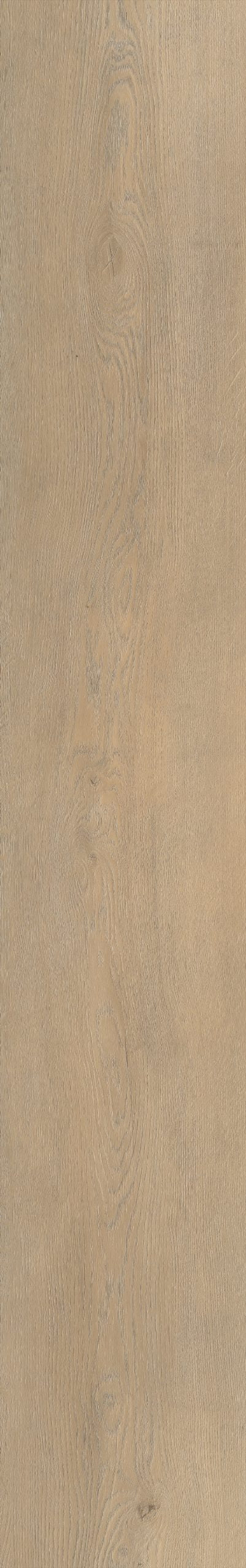 Belakos Palazzo 710 | Bruin