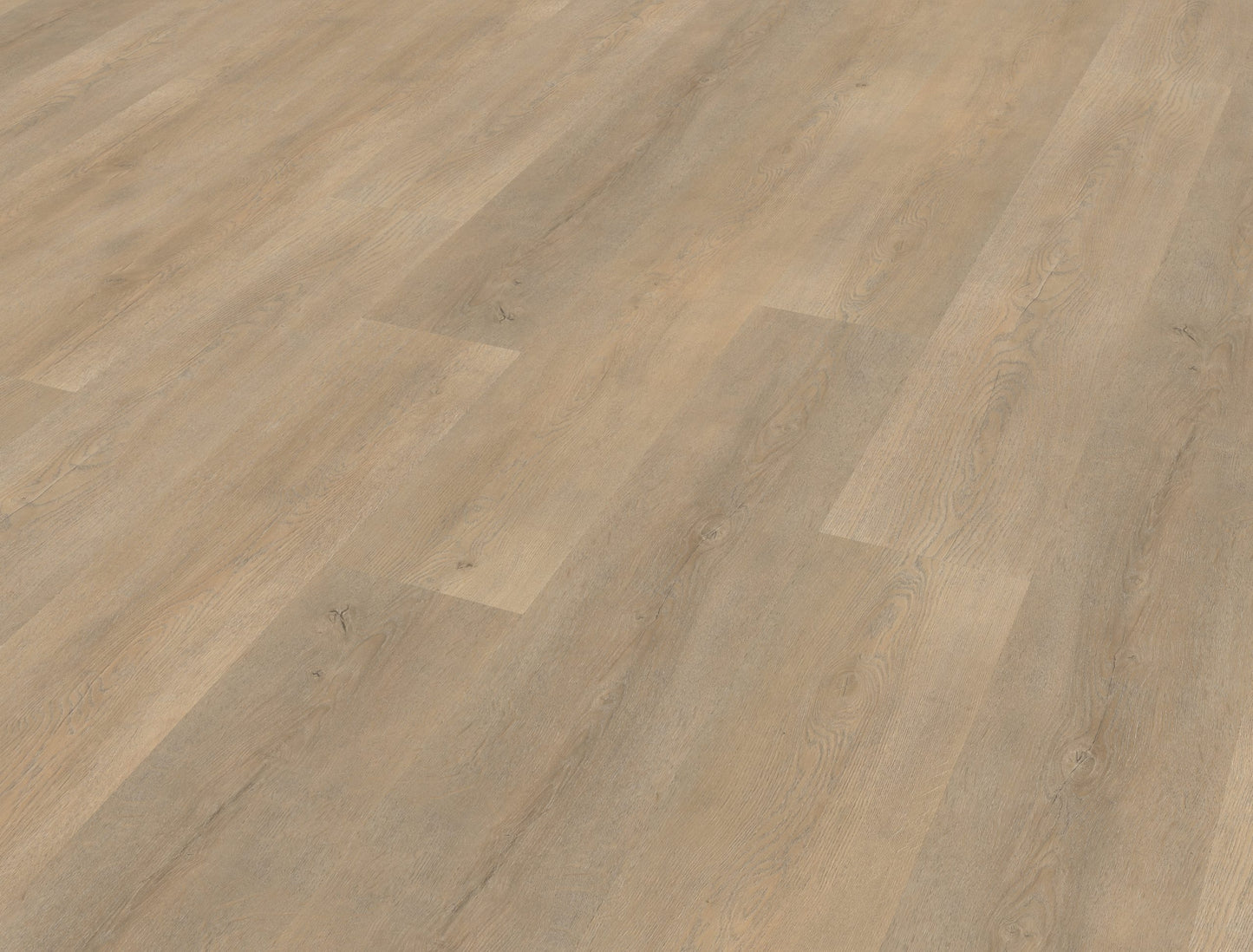 Belakos Palazzo 710 | Bruin