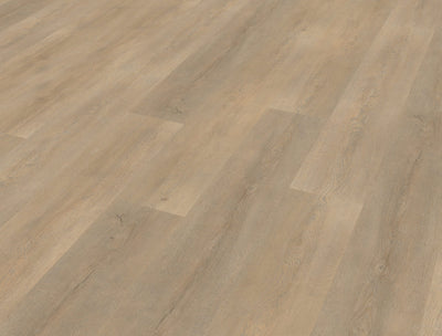 Belakos Palazzo 710 | Rigid Click | Bruin