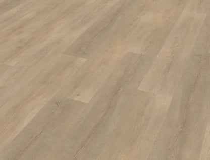 Belakos Palazzo 710 | Rigid Click | Bruin