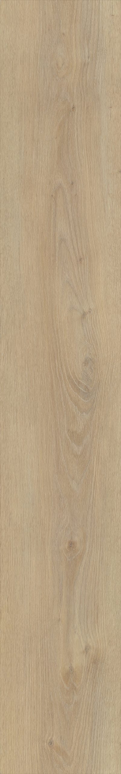 Belakos Palazzo 720 | Rigid Click | Bruin