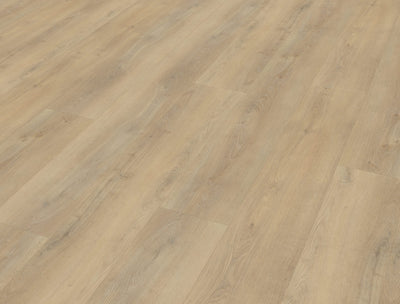 Belakos Palazzo 720 | Rigid Click | Bruin