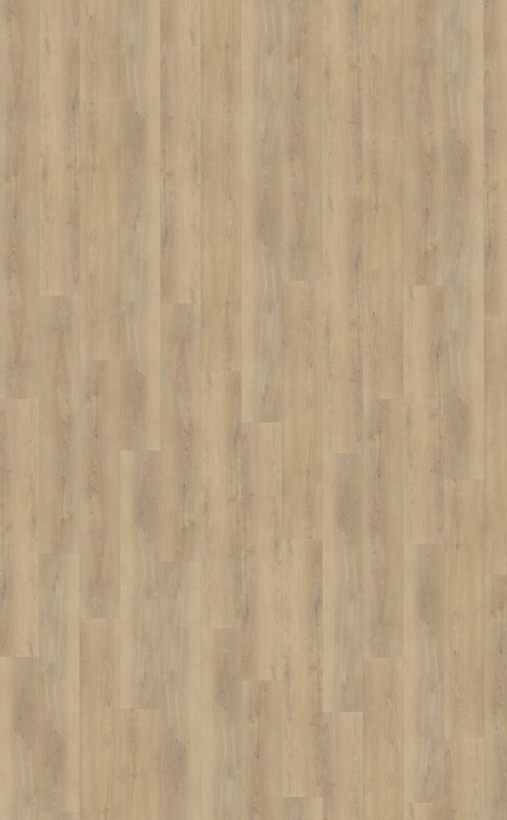 Belakos Traptredenset Palazzo 720 | Bruin