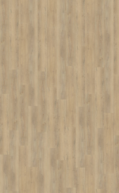 Belakos Palazzo 720 | Rigid Click | Bruin