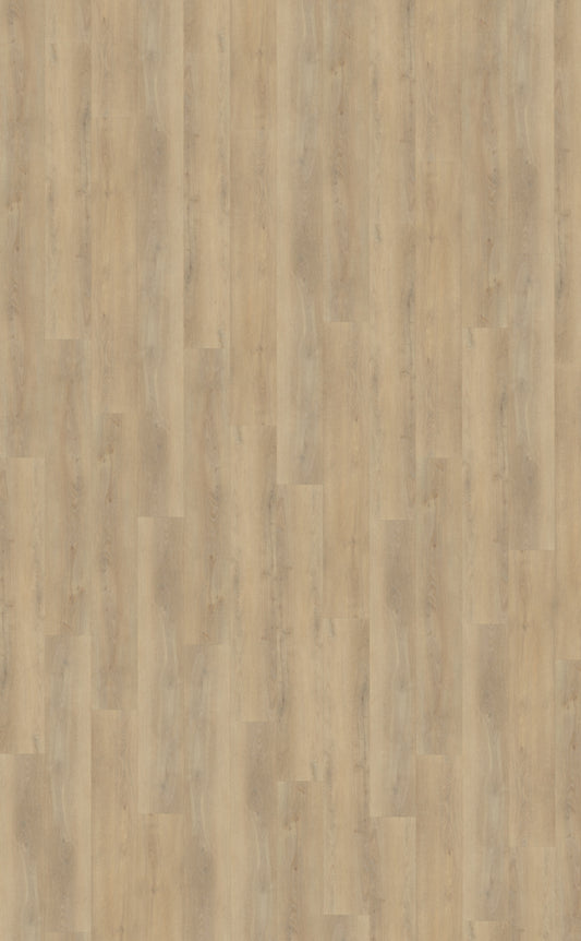 Belakos Palazzo 720 | Rigid Click | Bruin