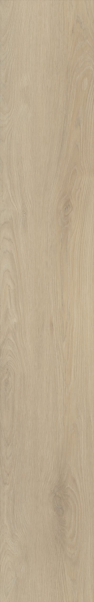 Belakos Palazzo 730 | Bruin