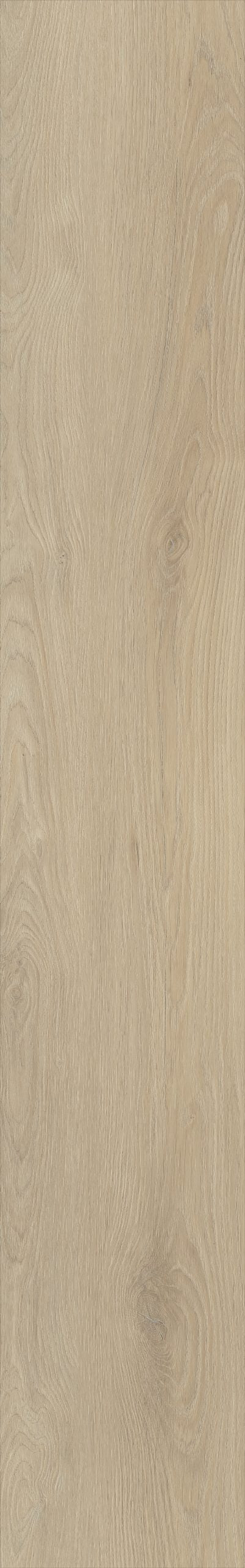 Belakos Palazzo 730 | Bruin