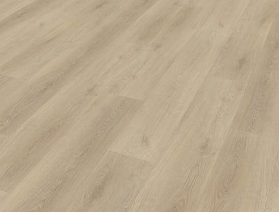 Belakos Palazzo 730 | Bruin