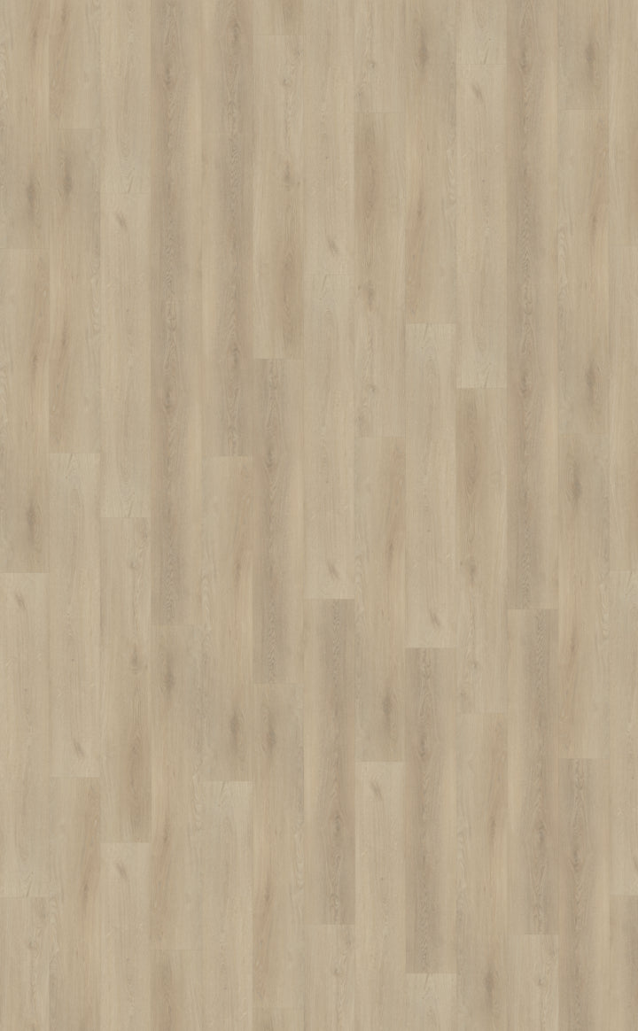 Belakos Palazzo 730 | Bruin