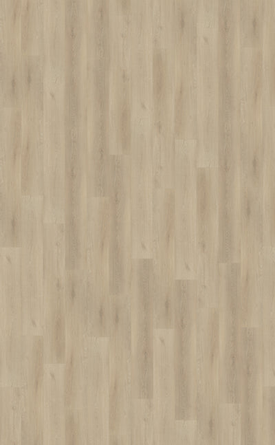 Belakos Palazzo 730 | Bruin