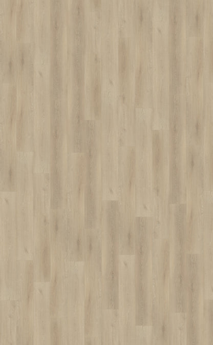 Belakos Palazzo 730 | Bruin