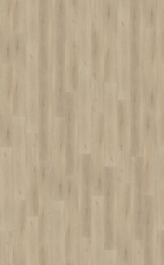 Belakos Palazzo 730 | Bruin