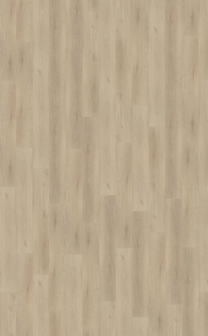 Belakos Palazzo 730 | Bruin