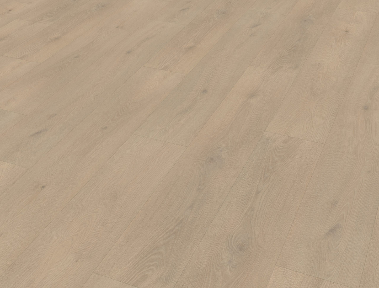 Belakos Palazzo 740 | Bruin