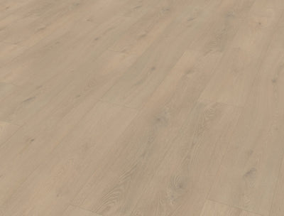 Belakos Palazzo 740 | Bruin