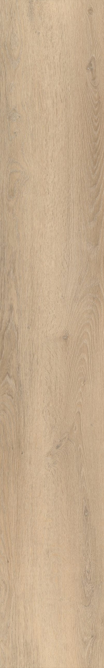 Belakos Palazzo 750 Rigid Click | Bruin