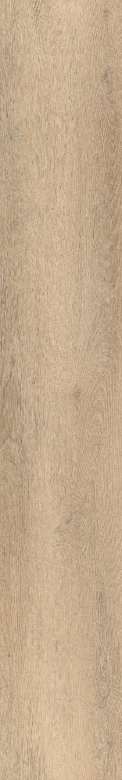 Belakos Palazzo 750 | Bruin