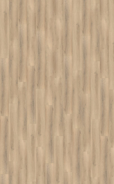 Belakos Palazzo 750 Rigid Click | Bruin