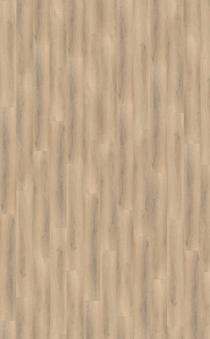 Belakos Palazzo 750 Rigid Click | Bruin