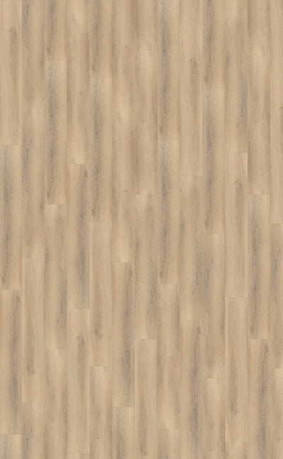 Belakos Palazzo 750 Rigid Click | Bruin