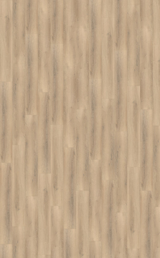 Belakos Palazzo 750 Rigid Click | Bruin