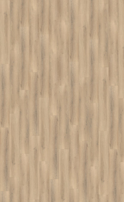 Belakos Palazzo 750 | Bruin