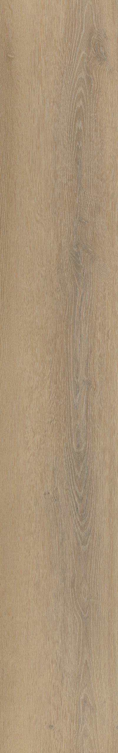 Belakos Palazzo 760 | Bruin