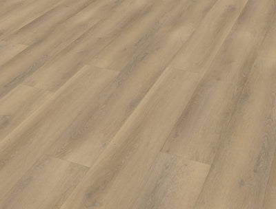 Belakos Palazzo 760 | Rigid Click | Bruin