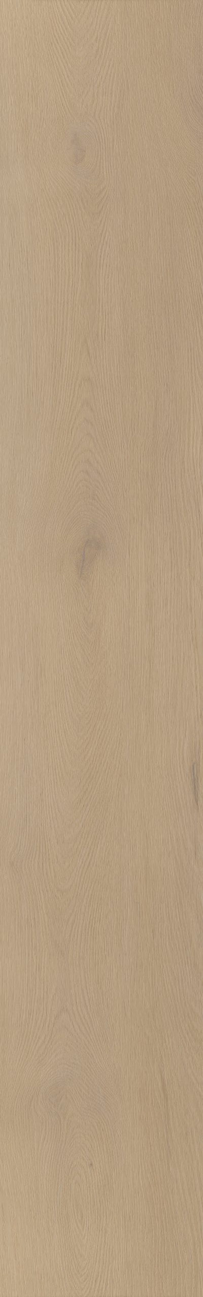Belakos Palazzo 770 | Bruin