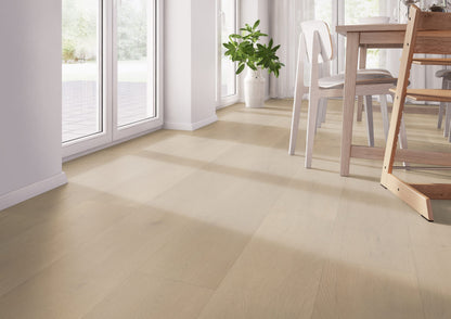 Belakos Palazzo 770 | Bruin