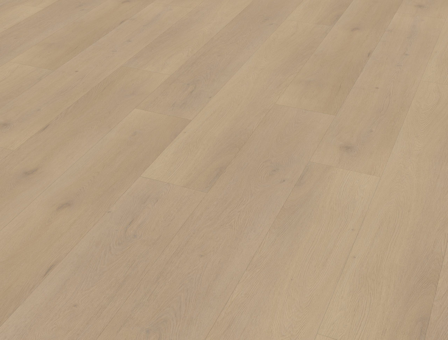 Belakos Palazzo 770 | Rigid Click | Bruin