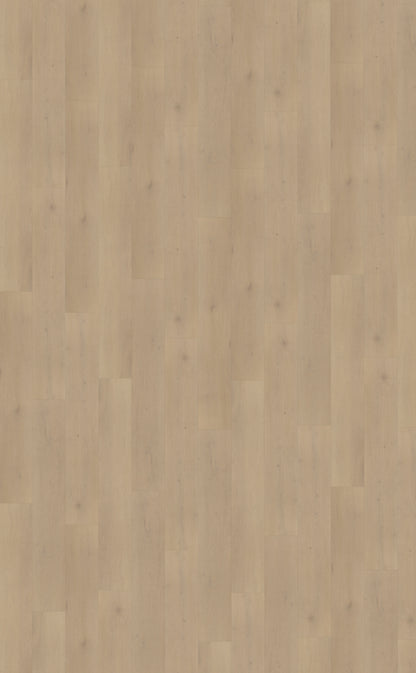 Belakos Palazzo 770 | Rigid Click | Bruin