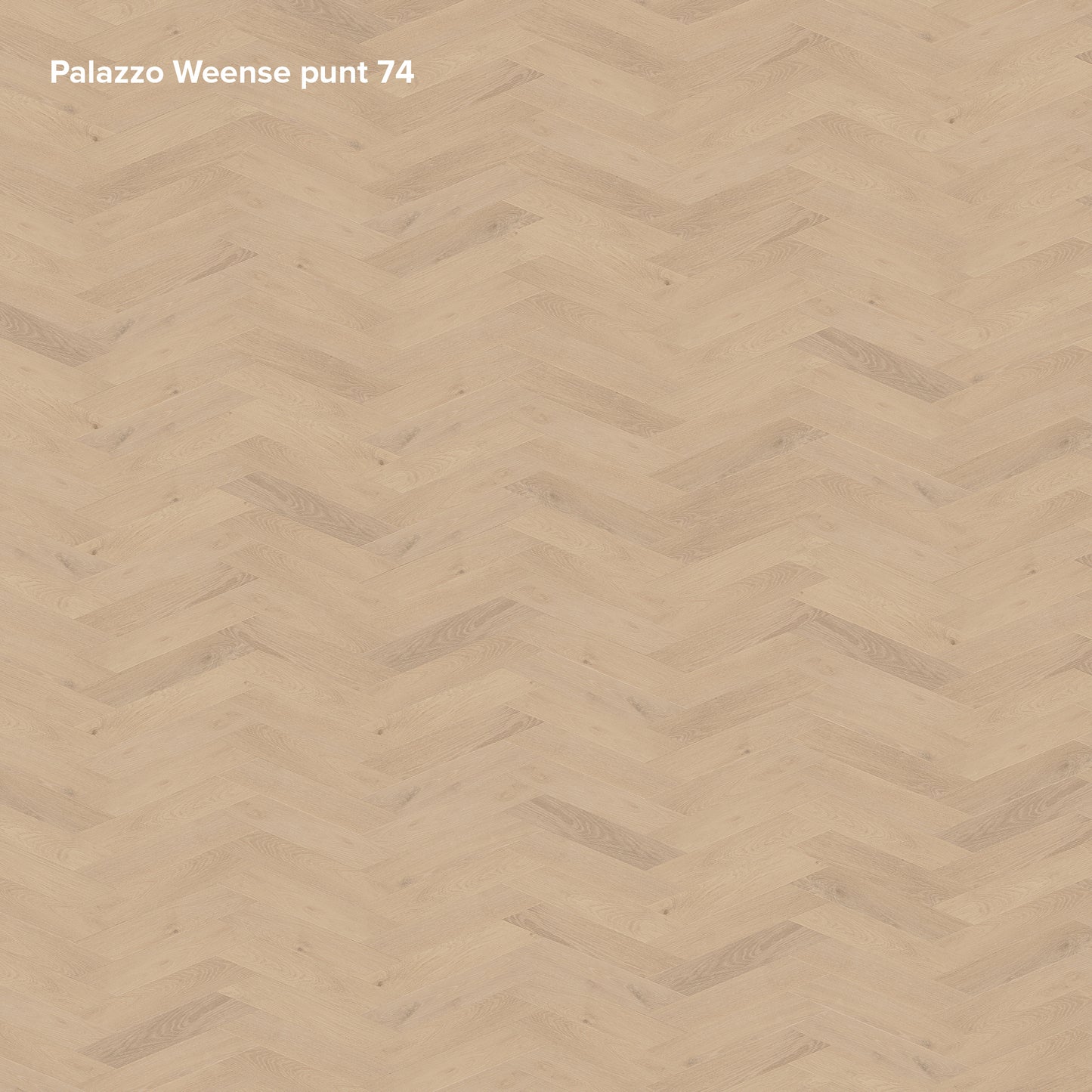 Belakos Palazzo Hongaarse punt | Weense punt 74 | Bruin