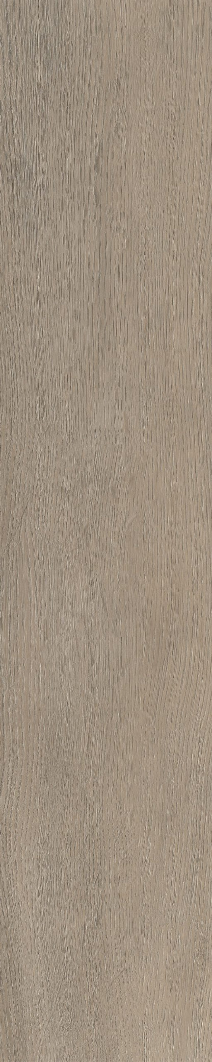 Belakos Palazzo visgraat XL 70 | Bruin