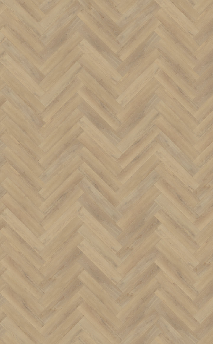 Belakos Palazzo visgraat XL 72 | Bruin