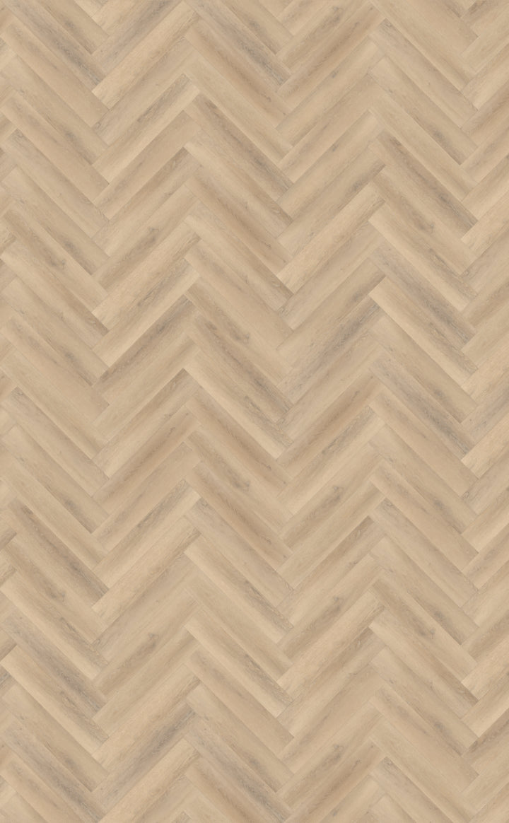 Belakos Palazzo visgraat XL 75 | Bruin