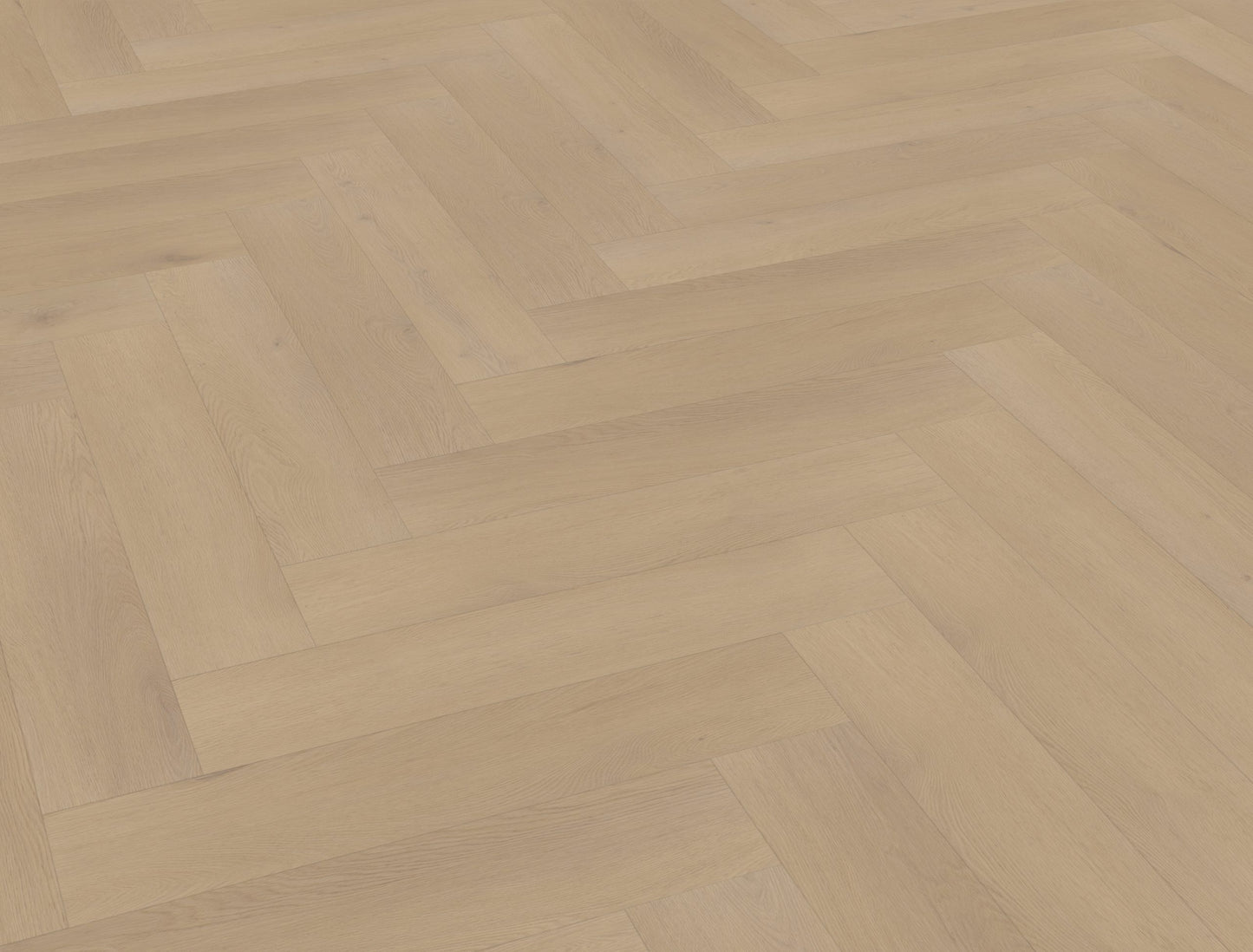 Belakos Palazzo visgraat XL 77 | Rigid Click | Bruin